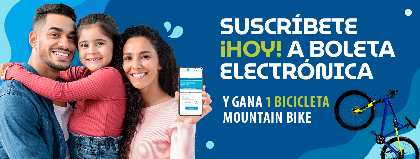 boleta electronica